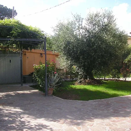 Al Vecchio Olivo פראסקאטי